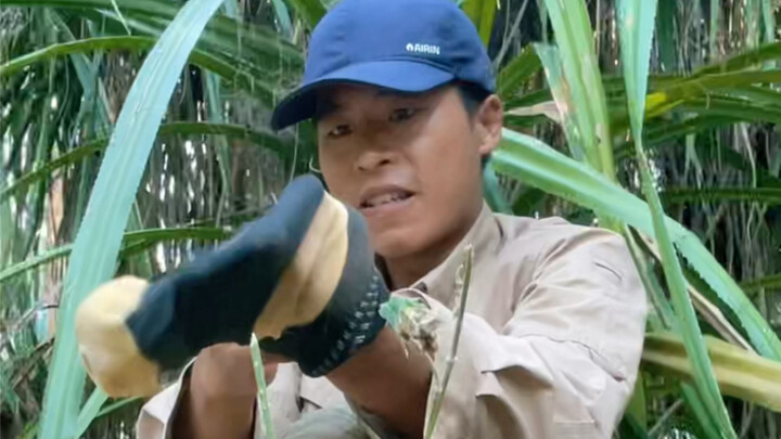Di pulau, selain mengawetkan makanan dengan cara pengasapan dan pemanggangan, ternyata juga bisa dis