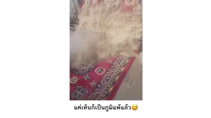 แค่เห็นก็เป็นภูมิแพ้แล้ว