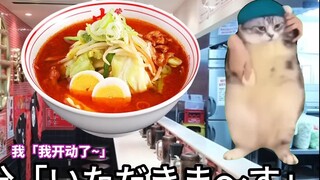 【Cooked Meat】The Cat Who Went to Eat Mongolian Noodle Soup (Nakamoto) | Cat Meme