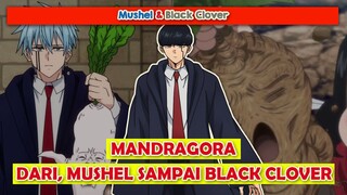 Bahan Sihir "MANDRAGORA" Di Mashle | Mashle: Magic and Muscles