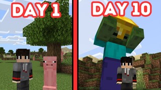 Minecraft, but Random Things Happen Everyday | 100 Days Challenge | #1