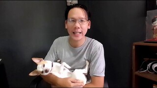 น้องหมาน่ารู้ EP.1 น้องหมาเลียเท้าตัวเองบ่อยๆ เพราะ...