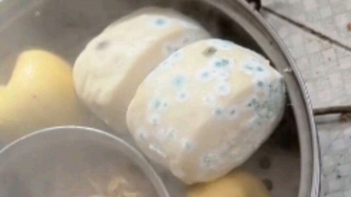 Humorous Moment: Blue-Ringed Steamed Bun