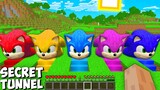 Secret Sonic's Random Tunnel in minecraft - Gameplay challenge and funny