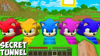 Secret Sonic's Random Tunnel in minecraft - Gameplay challenge and funny