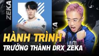 DRX ZEKA: SIÊU TÂN BINH ĐƯỢC TRUI RÈN TỪ LCK VÀ LPL ĐÃ TRẢI QUA NHỮNG GÌ?