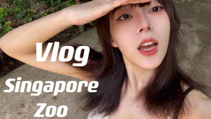 Travel Vlog | I Finally Got to See Giant Pandas!! | One-Day Trip to Singapore Zoo & River Wonders