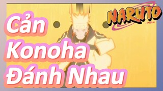 Cản Konoha Đánh Nhau