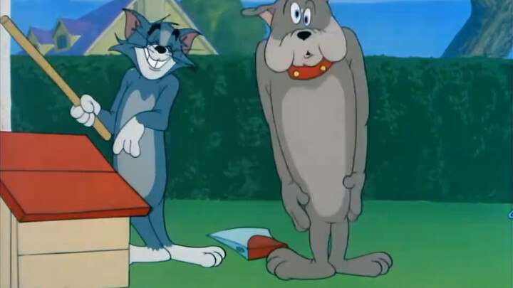 As soon as Brother Dog takes the lead, he’s totally dumbfounded, hahaha.