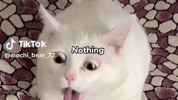 🖕