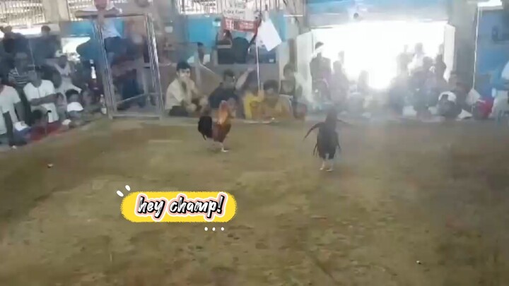 clarets strike again