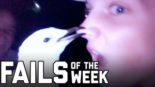 Bird is the Word Fails of the Week (สิงหาคม 2020) กองทัพล้มเหลว