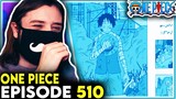LUFFY DID THE UNTHINKABLE... - One Piece Episode 510 REACTION + REVIEW