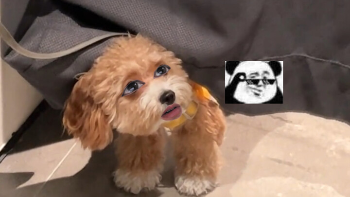 Is this the tailor’s workshop? Are you making clothes?