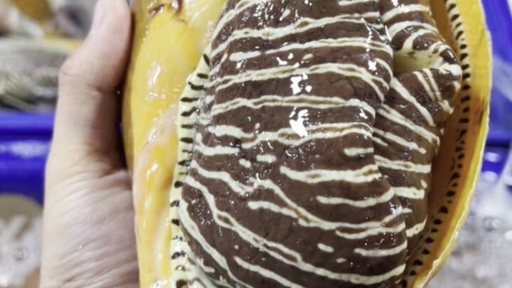 Satu siput, dua rumah emas—setelah dibuka aku hampir menangis!