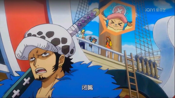 Ro, jangan sok angkuh lagi—melihat Chopper, hatinya sudah pasti berbunga-bunga!