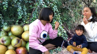 เก็บบักทันกินสดๆจากต้นจ้า | แม่ชบา พาแซ่บบ