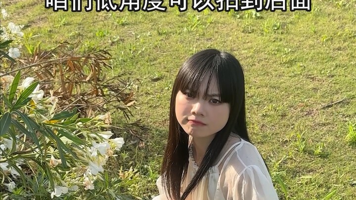 夹竹桃有毒，夹竹桃拍照技巧，夹竹桃拍照姿势，夹竹桃拍照角度