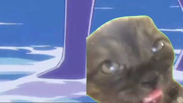 [Daily] A Naruto-Sakura person's mental journey of buying CP｜Cat meme