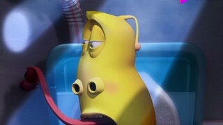 Bug Lucu: Saya dengar banyak toilet umum di Eropa seperti ini. Sungguh menyedihkan saat Anda sedang 