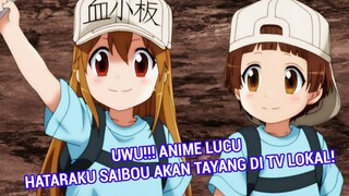 Hataraku Saibou Akan Tayang Di Net TV ? - Kira Kira Banyak Gak Ya Yg Nonton ?