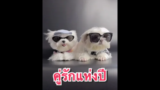 ยอมบ้านนี้จริงๆครับ อวยลูกที่1เลย น่ารักจิงๆ🥰