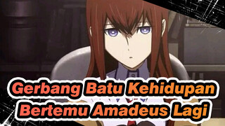 Gerbang Batu Kehidupan
Bertemu Amadeus Lagi