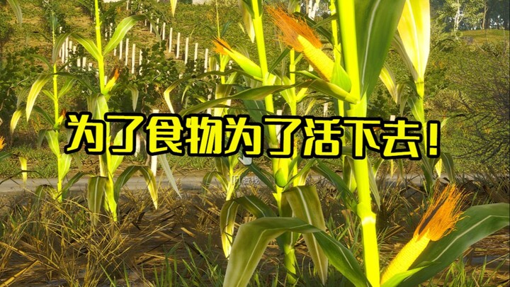 Bertarung cerdik melawan para zombi demi makanan! 【SCUM】 Episode Kedua