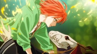 Thoát khỏi thân phận nô lệ, tôi trở thành cô dâu của pháp sư || [ AMV Mahoutsukai yome ]