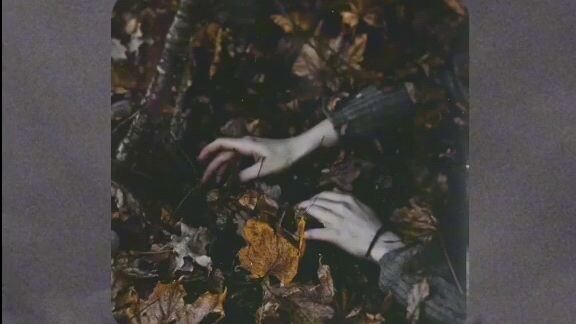 pohon adalah kehidupan daun gugur adalah kematian,