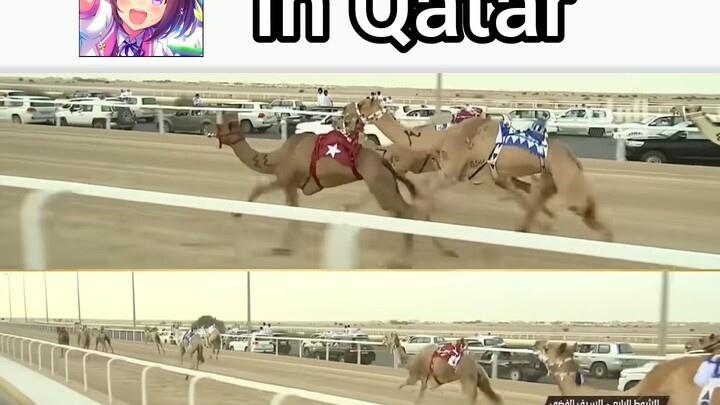 bro bahkan Qatar punya umamusume nya sendiri loh