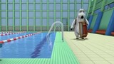 Bernard-Swimming