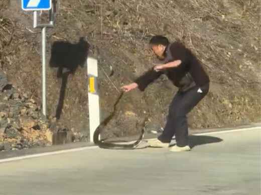 Gặp phải tình huống này thì làm sao tự cứu mình?