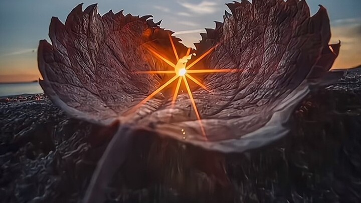 Interesting photography shared with those who are not perfunctory