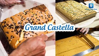"Sốt xình xịch" siêu phẩm bánh bông lan Đông Trùng Hạ Thảo từ Grand Castella | Feedy TV