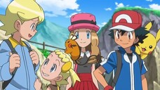 Pokemon XY - 31