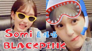Somi今晚直播唱BLACKPINK！果然同公司的好亲故！