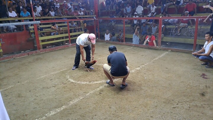 2nd fyt pyle cross sweater win , 3 wins tnx lady luck