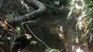 mahirap na daan