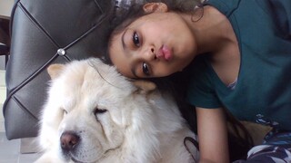 showing you dog