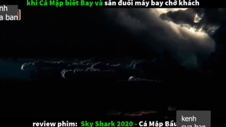 cá mập bay p4 #kenhcuaban