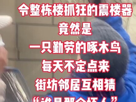 尴尬了，这个“震楼器扰民” 原来是啄木鸟
