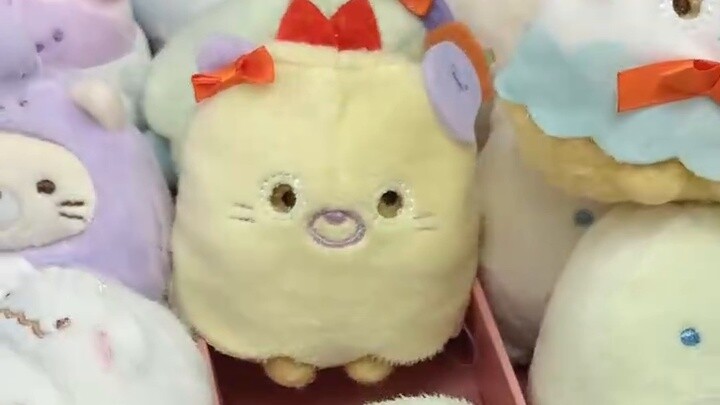 Japanese overseas girl is dark and has no social interaction｜Take classes + buy Shin-chan & corner c