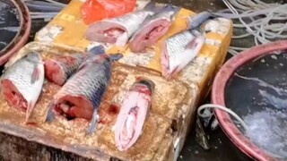Buy fish and get the recipe as a gift