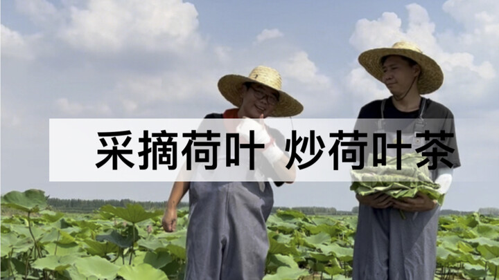 The lotus flowers in my hometown are blooming again. Today I’m out with my older brothers gathering 