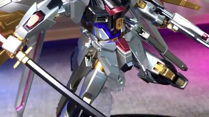 Siapa yang akan membeli model rakitan HG Extraordinary Strike Freedom Gundam ini? !