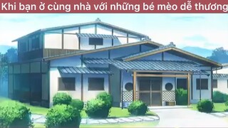 Khi bạn ở cùng nhà với những bé mèo dễ thương