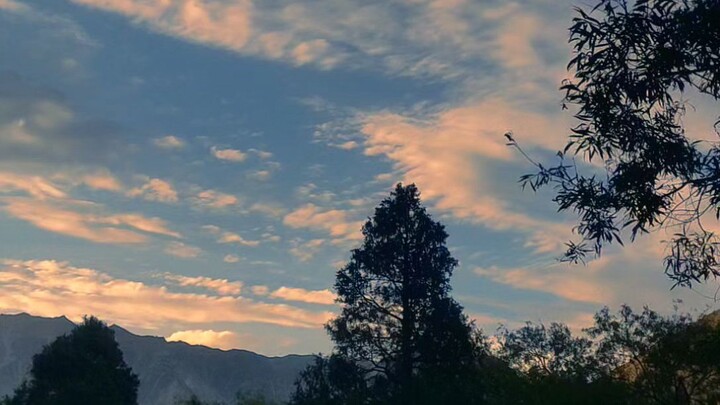 nature beautiful view