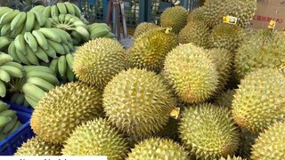 Cuộc sống Đài Loan _ Đi tản bộ ngắm hoa gạo, tình cờ gặp chị bán nước mía người