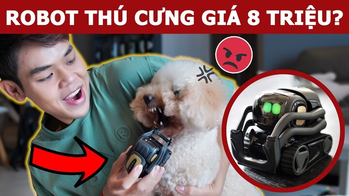 8 triệu mua Robot Thú Cưng làm bạn với bé Gấu và cái kết | Oops Banana Vlog 207